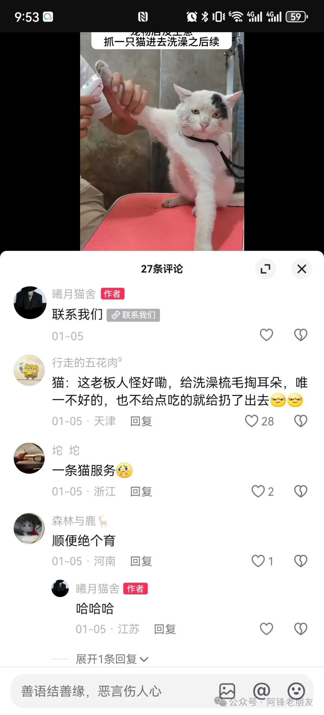 揭秘小猫咪活体抖音打粉项目，高客单价，每单利润 5000+ 认真坚持落地实操 轻松月入过万（篇一）-星火职栈